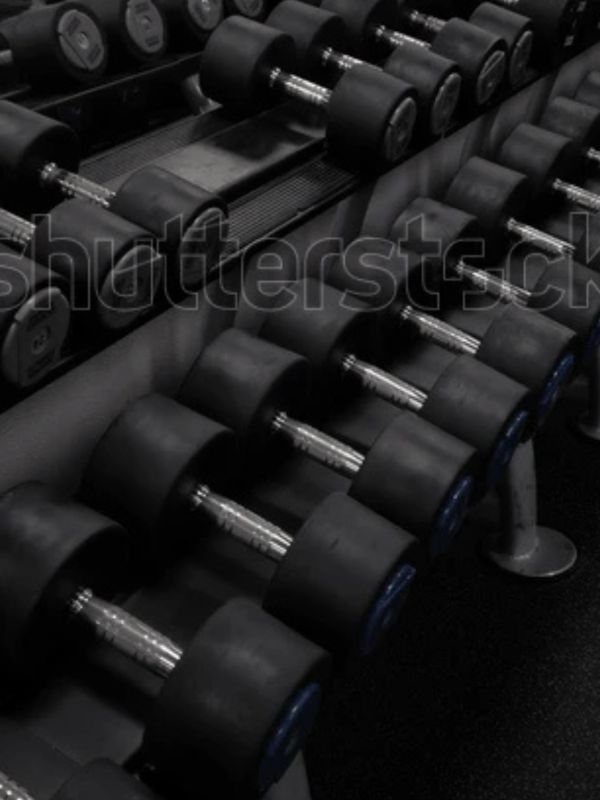 gym2